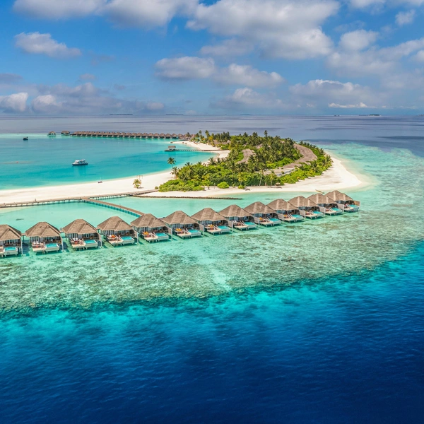 Источник: icemanphotos/Shutterstock/Fotodom.ru