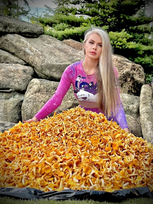 Потрясающе. Грибники спорят из-за блондинки с тысячами лисичек  | Источник: Наталия Архипова / Грибы и Грибники СПб