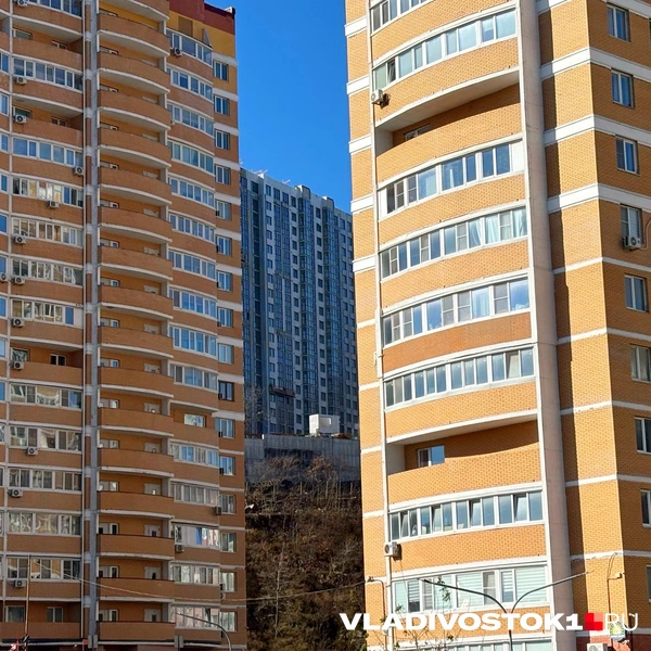 Источник: Елена Буйвол / VLADIVOSTOK1.RU