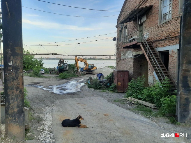 Такие виды вечером на пути к пляжу | Источник: Сергей Гендин / 164.RU