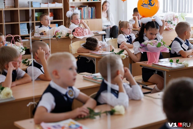 Всего в школе в этом году будут учиться 95 разных классов | Источник: Алексей Волхонский / V1.RU
