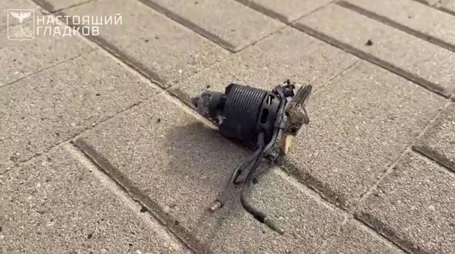 Кадр из видео в канале Гладкова | www.fontanka.ru