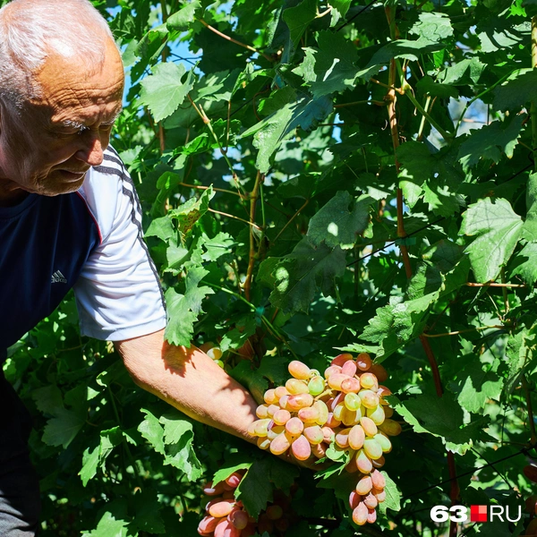 Источник: Роман Данилкин / 63.RU