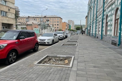 Новому озеленению на Кирова грозит гибель