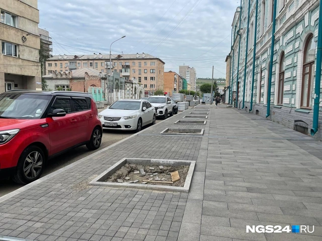 Здесь должны появиться растения | Источник: Дмитрий Мамаев / NGS24.RU