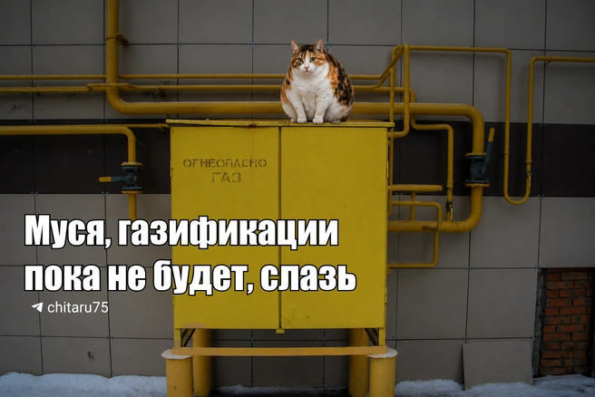 Источник: Вячеслав Палкин