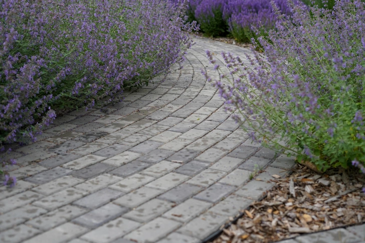 Источник:  Garden Group