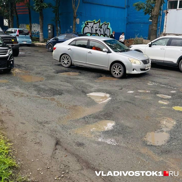 Источник: Елена Буйвол / VLADIVOSTOK1.RU
