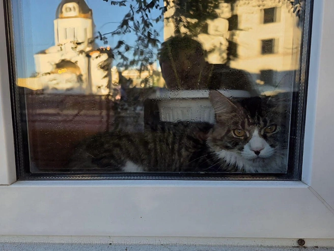 А за окном всё холоднее… | Источник: читатель 63.RU 