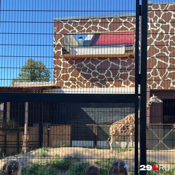 Источник: Валерия Богатырёва / 29.RU