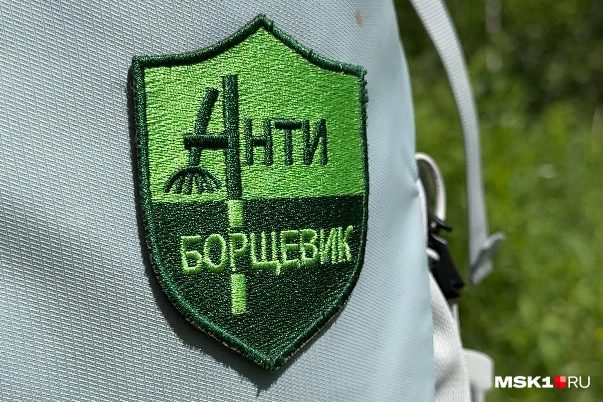 Источник: Анастасия Харитонова / MSK1.RU