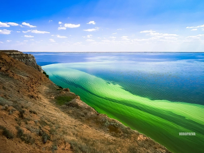 Пока жара держится в регионе, остается и такой цвет воды | Источник: Юлия Воропаева