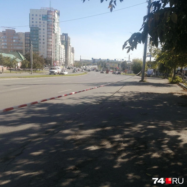 Источник: Светлана Талипова
