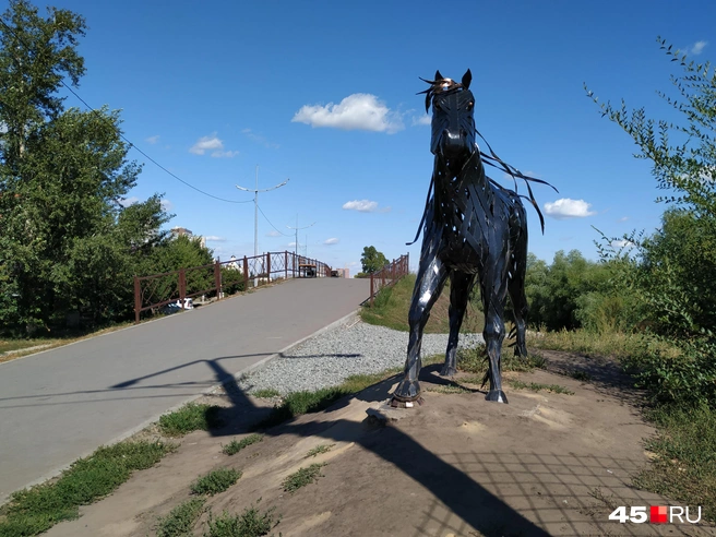 Курганцы к коню уже привыкли  | Источник: Юлия Король / 45.RU / Архив