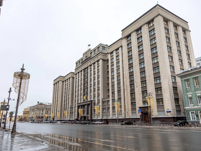 Далее законопроект должен быть одобрен президентом Российской Федерации. | Источник: Константин Завриков / V1.RU