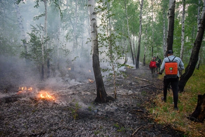 Пик лесных пожаров в Якутии летом 2026 года: прогноз