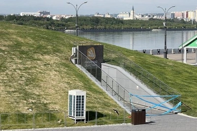 Олег Имамеев раскритиковал содержание городских газонов