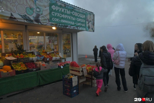 Источник: Иван Митюшёв / 29.RU