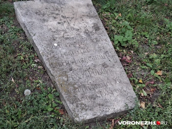 Источник: Алёна Воропаева / Voronezh1.ru