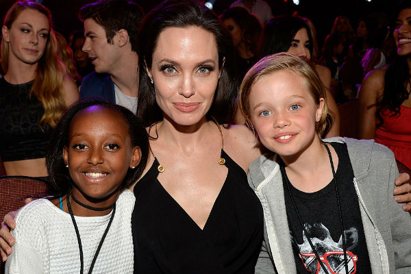 Анджелина Джоли будет добиваться с суде единоличной опеки над детьми