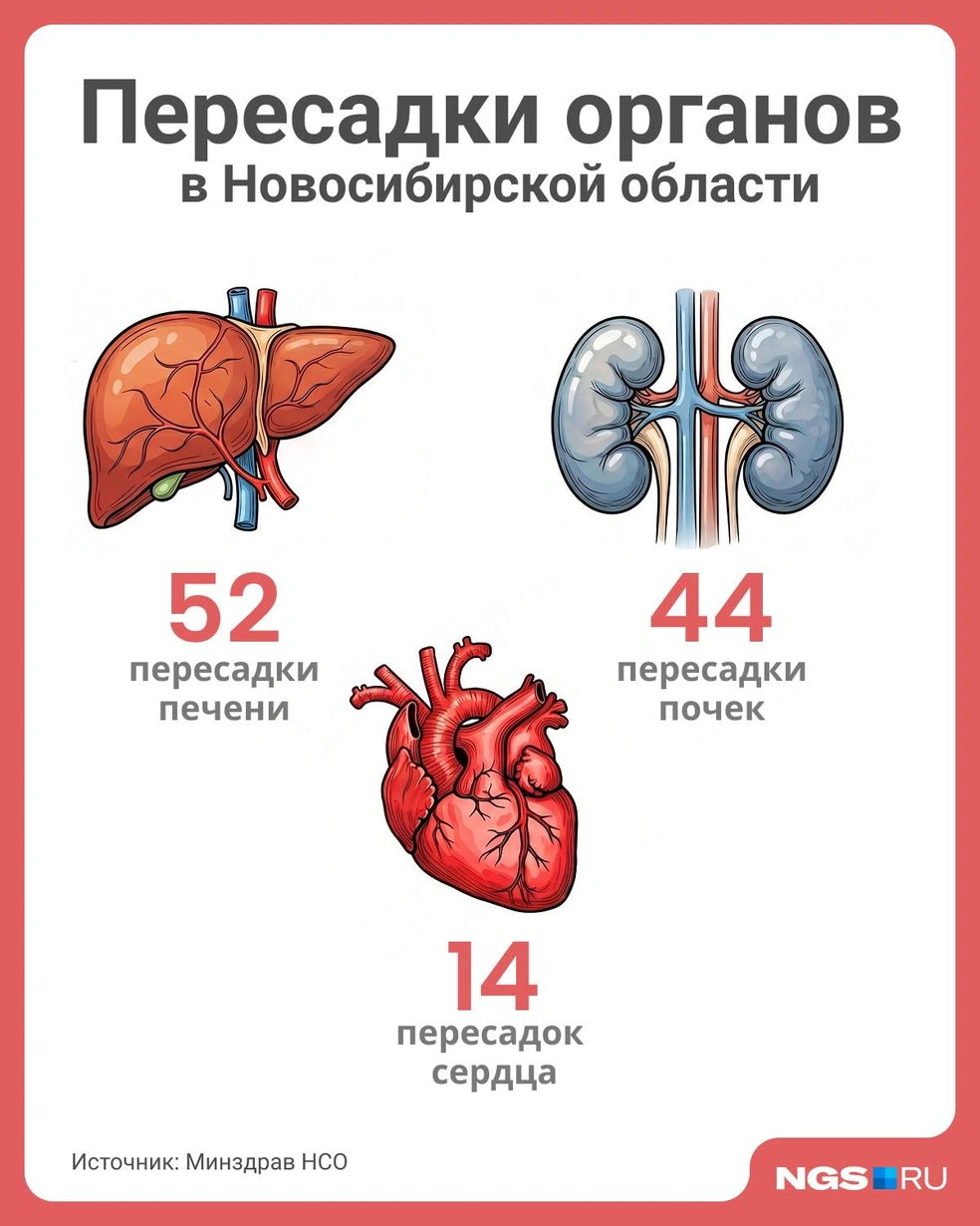 Столько пересадок выполнили в 2025 году | Источник: Юрий Орлов / Городские медиа