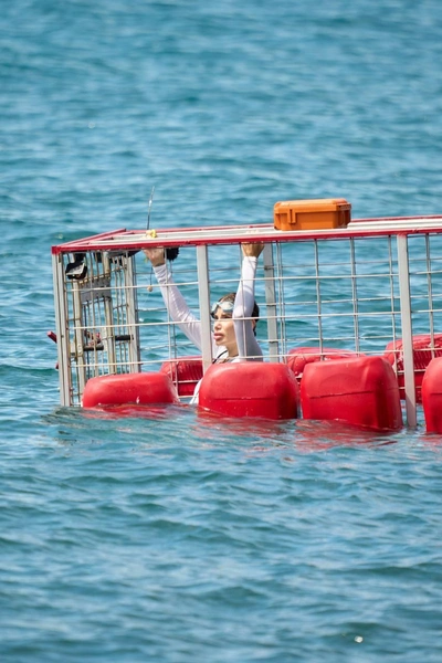 Кто победил и взял главный приз шоу «Ставка на любовь» — в финальном испытании нужно было прыгнуть с вертолёта