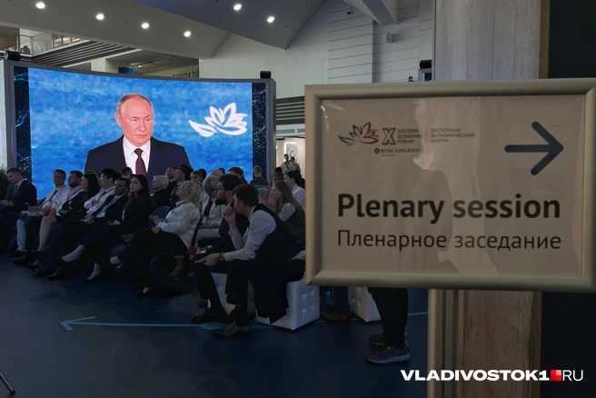 Источник: Елена Буйвол / VLADIVOSTOK1.RU
