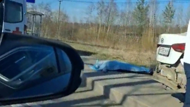 В Приморском районе «Лада Ларгус» влетела в такси. Пассажирка погибла на месте | Источник: Мегаполис | ДТП и ЧП | Санкт-Петербург | Питер