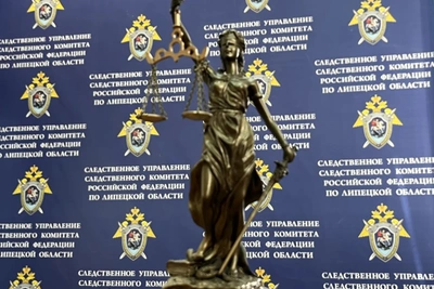 Житель Ельца осужден за убийство