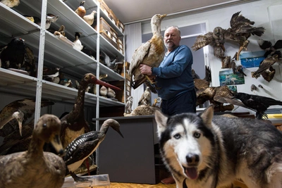 Why a Krasnoyarsk Museum Stores Mammoths and Meteorites