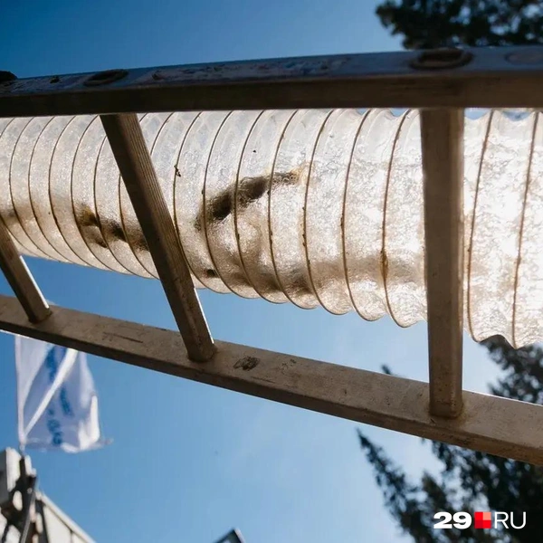 Источник: Иван Митюшёв / 29.RU