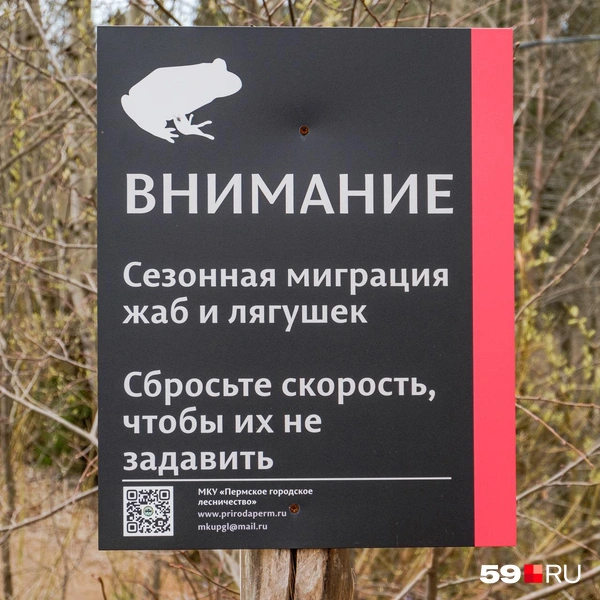Информационный стенд установили городские власти | Источник: Тимофей Калмаков / 59.RU