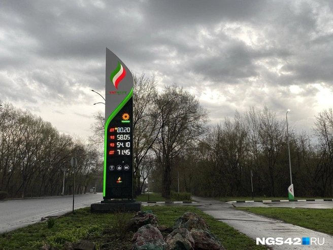 Источник: Елизавета Богатырева / NGS42.RU