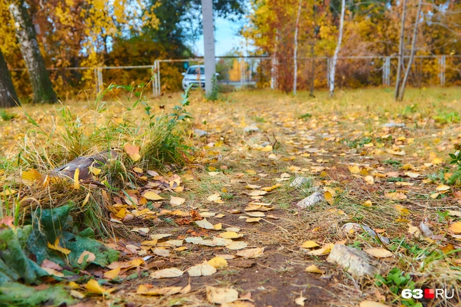 Будущая аллея | Источник: Роман Данилкин / 63.RU