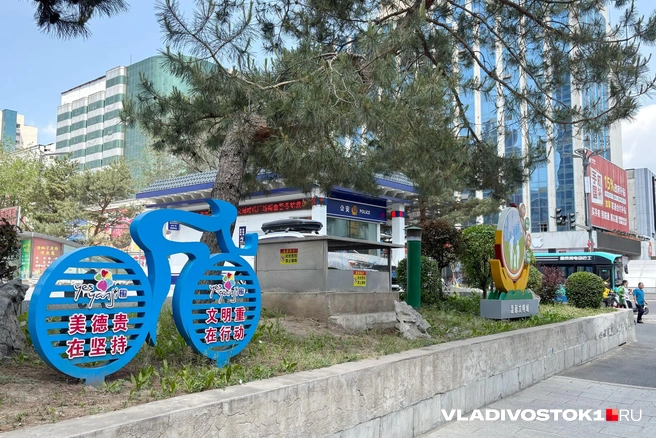 Источник: Елена Буйвол / VLADIVOSTOK1.RU