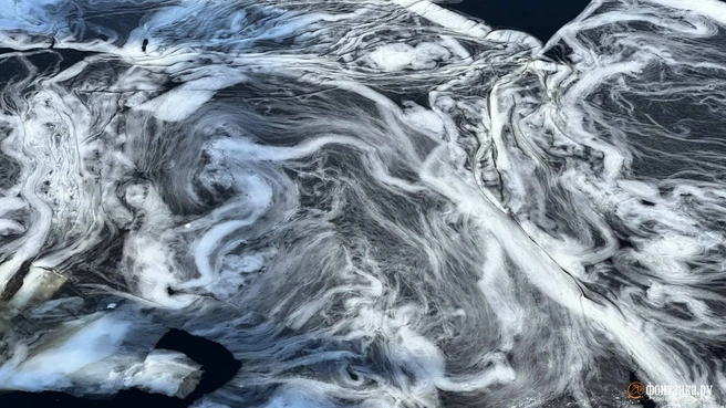 Источник: Валентин Егоршин/«Фонтанка.ру»