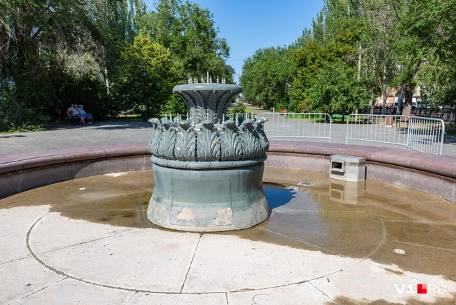 То ли после дождей вода осталась, то ли слить всю не удалось | Источник: Константин Завриков / V1.RU