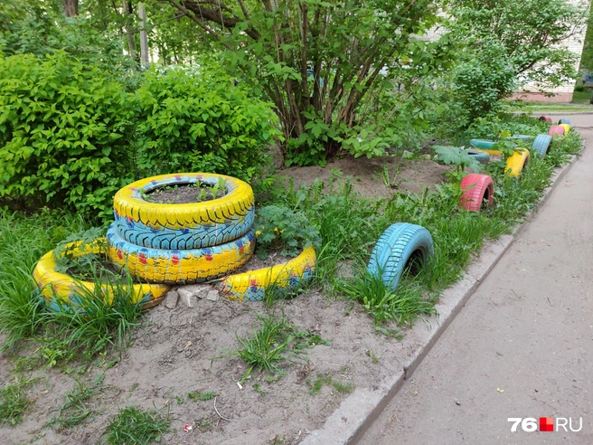 Что за странный шинный фетиш в городе? Остановитесь! | Источник: Евгений Ковалёв