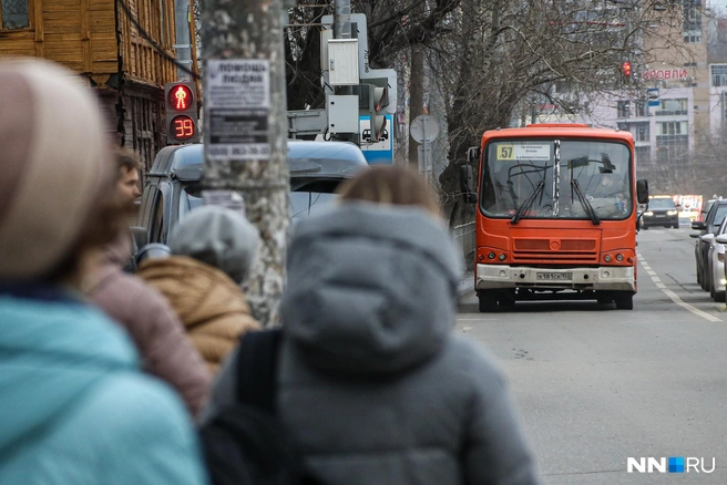 Нижегородцы предлагают сначала решить основные проблемы с общественным транспортом | Источник: Наталья Бурухина / NN.RU