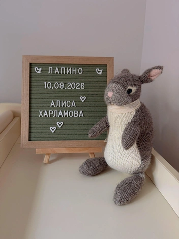 Источник: katerinakovalchyk и garikkharlamov / Instagram (экстремистская организация, деятельность запрещена на территории РФ)
