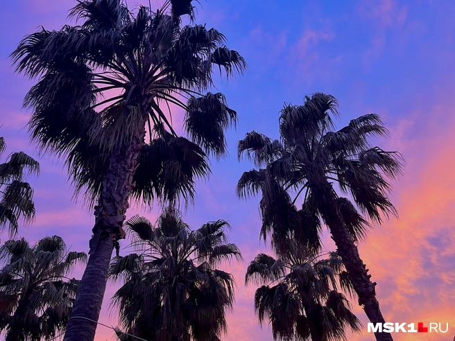 Цены на новогоднюю Турцию в 2,5 раза выше, чем на обычную | Источник: Виктория Чулюкина / MSK1.RU