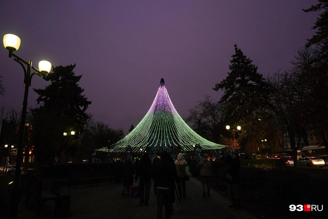 Эта елка стоит рядом с Александровским бульваром | Источник: Дарья Паращенко / 93.RU