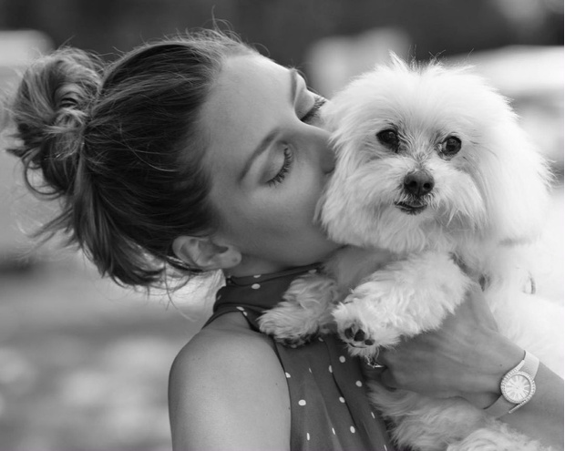 Фото №1 - Пет-терапия с собаками: как Оливия Палермо и Ева Лонгория справляются со стрессом
