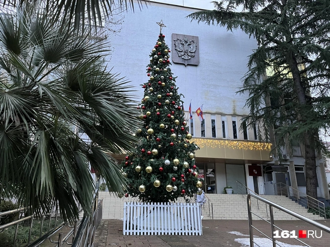 Источник: Ксения Сухоленко / 161.RU