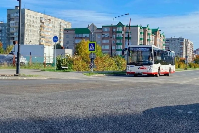 Источник: st.cherinfo.ru