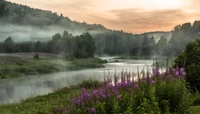 Выставка фотографа Юрия Овчинникова «Времена года» в музее Эрарта