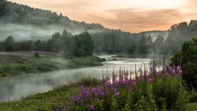 Выставка фотографа Юрия Овчинникова «Времена года» в музее Эрарта