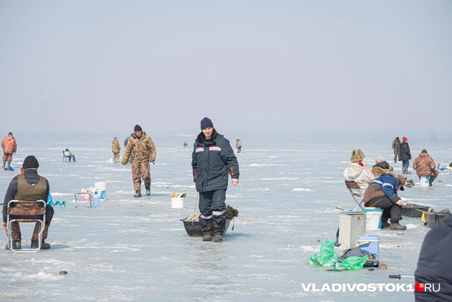 Источник: Елена Буйвол / VLADIVOSTOK1.RU