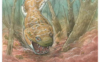 В Намибии найден древний монстр Gaiasia jennyae с головой-«унитазом», который обитал в холодных болотах и «всасывал» свою добычу