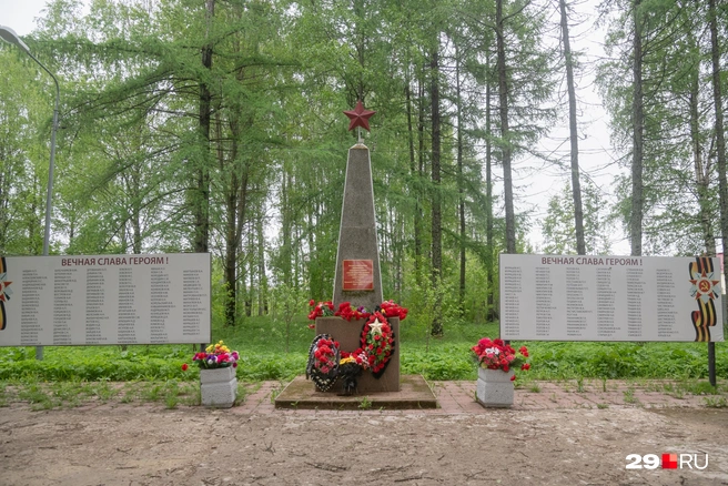Источник: Ivan MiИван Митюшёв / 29.RUtyushev